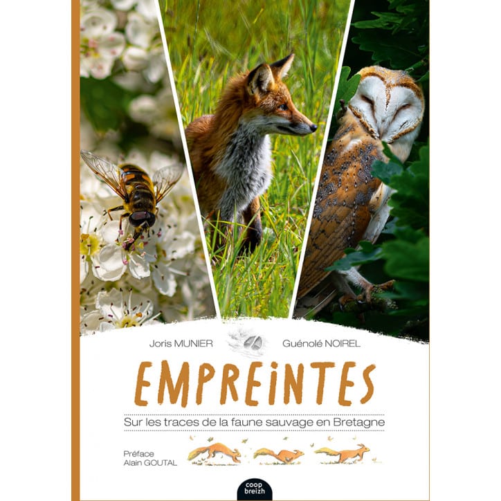 Empreintes, sur les traces de la faune sauvage en Bretagne